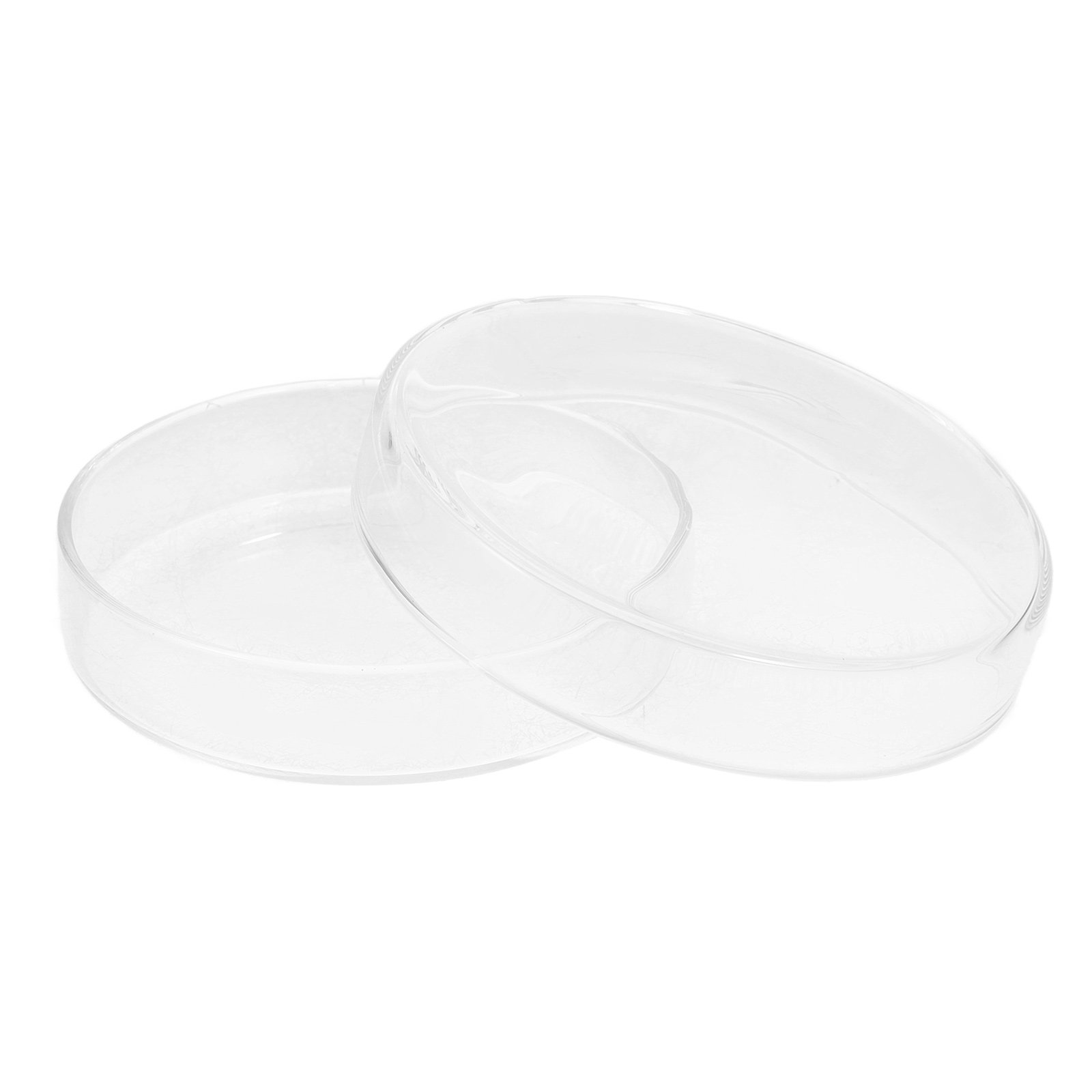 Agar Tissue Culture - Glass Petri Dish High Borosilicate Resistant