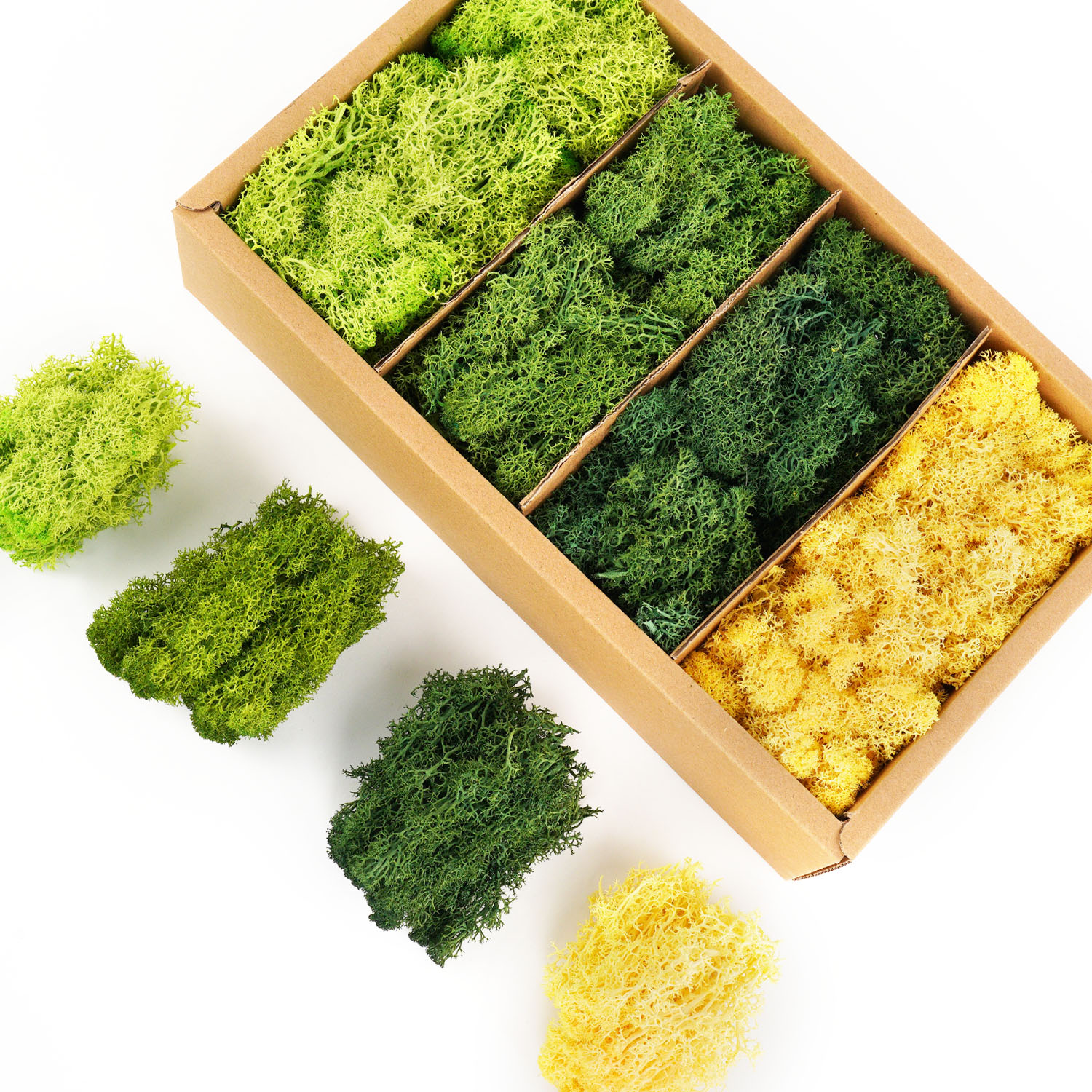 Artificial Green Plants Eterna – Sphagnum Moss Dry Bewertung und Preis