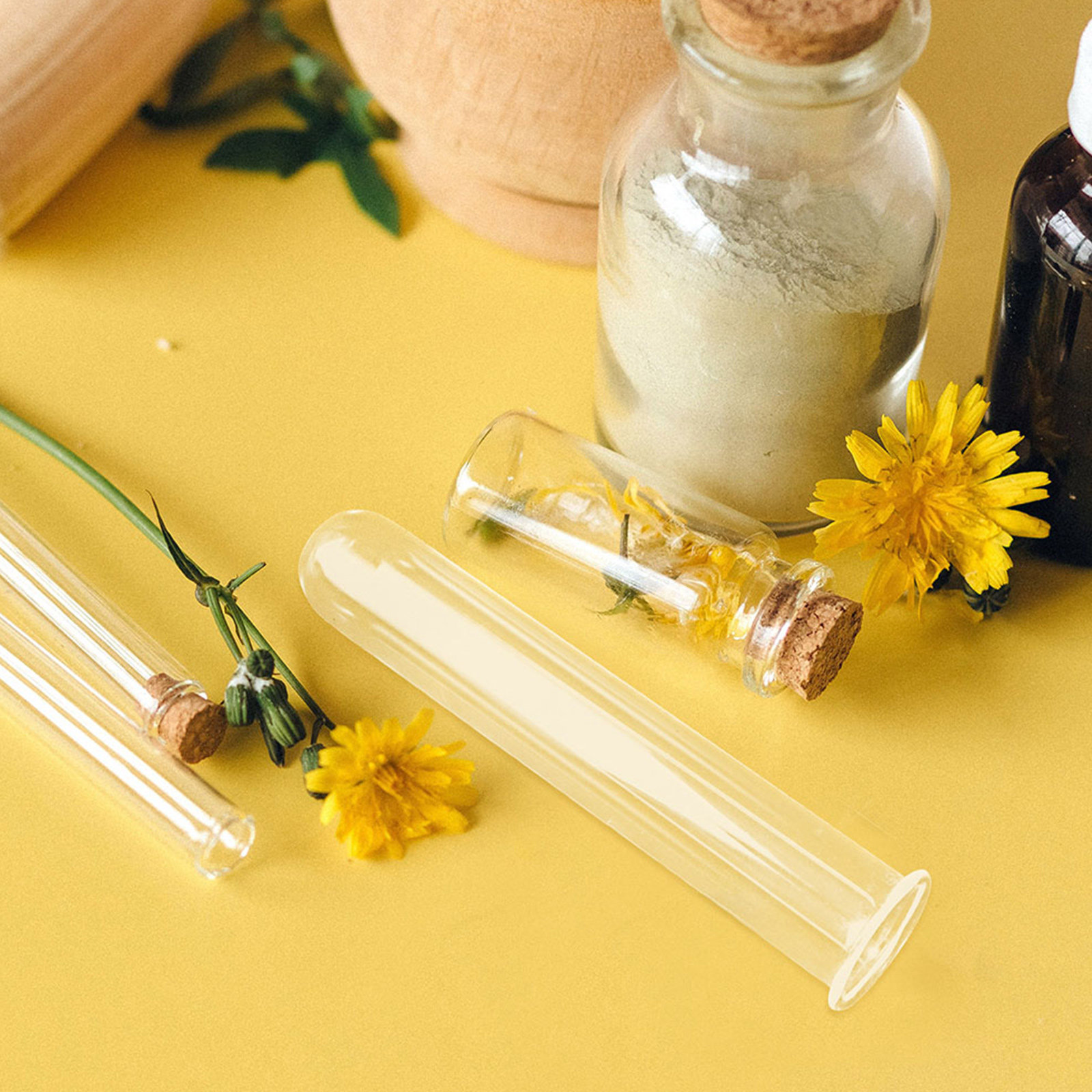 5Pcs Glass Test Tube Vase for  – Propagation Station Vase Bewertung und Preis