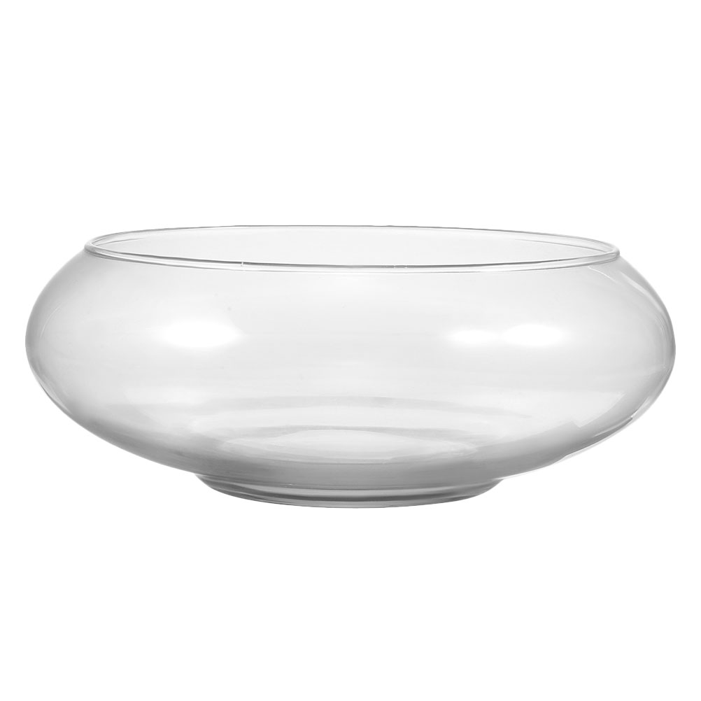 Wide Mouth Glass Vase Narcissu – Propagation Station Vase Bewertung und Preis