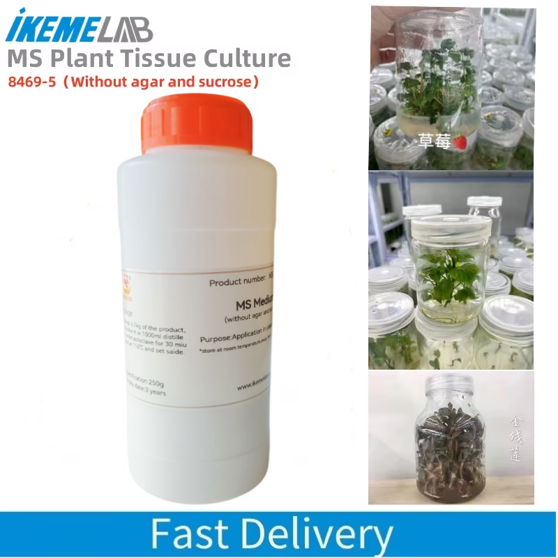 IKEME 250g Lab MS Medium Witho – Agar Tissue Culture Bewertung und Preis