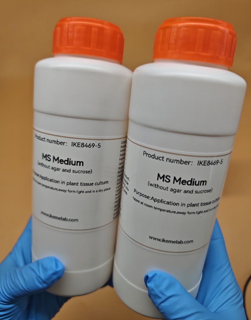 IKEME 250g Lab MS Medium Witho – Agar Tissue Culture Bewertung und Preis