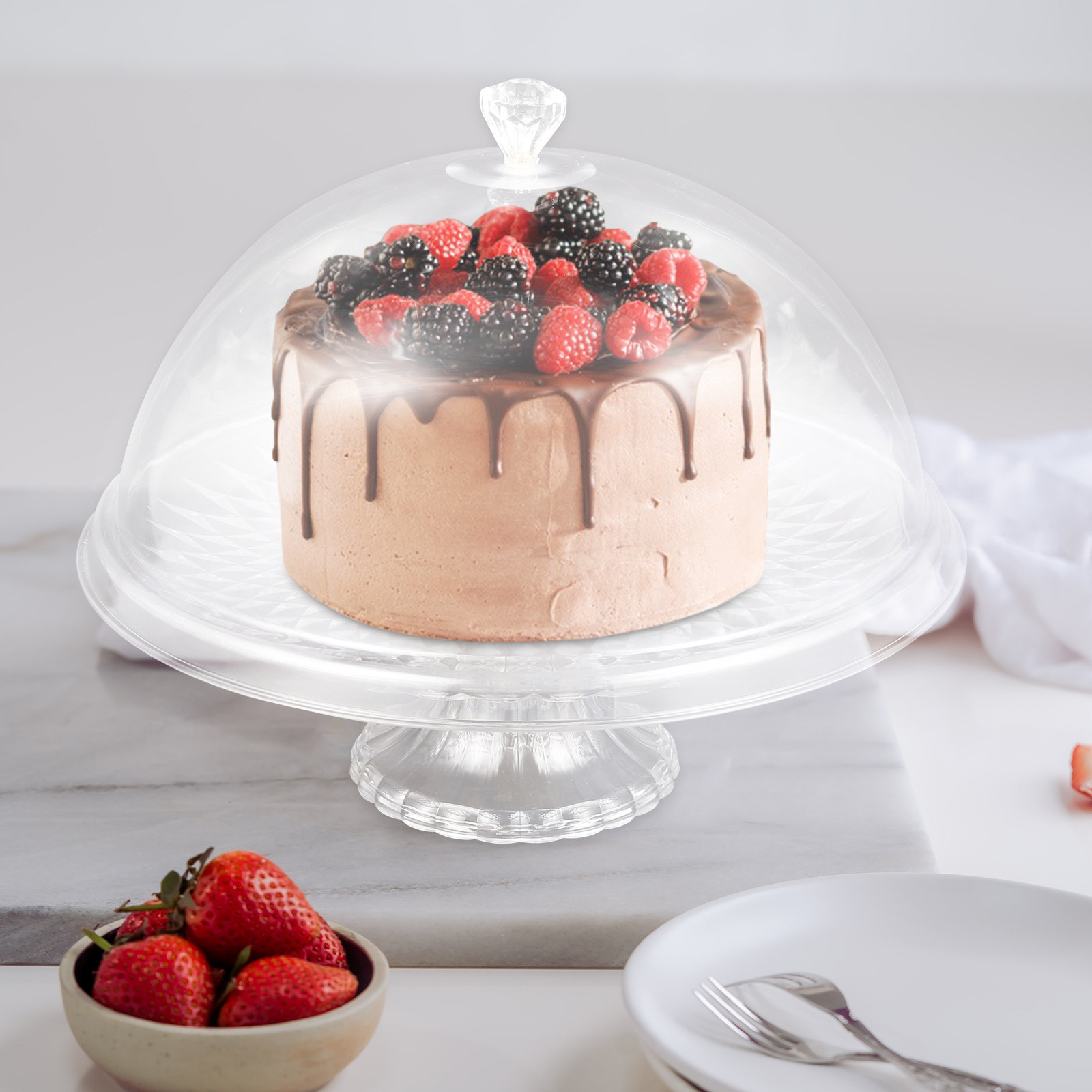 Clear Pet Cake Stand with Dome – Plastic Dome Clear Bewertung und Preis