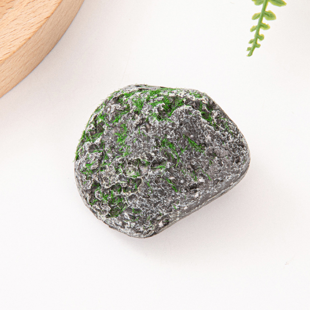 10PCS Mossy Gray Stone Multi-s – Sphagnum Moss Dry Bewertung und Preis