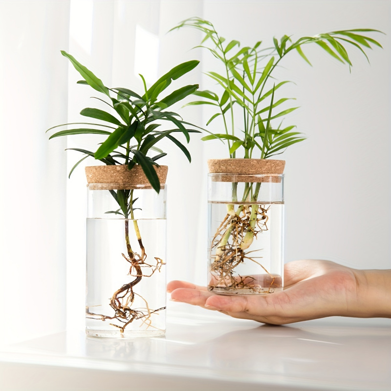 1pc, Hydroponics Plants Deskto – Propagation Station Vase Bewertung und Preis