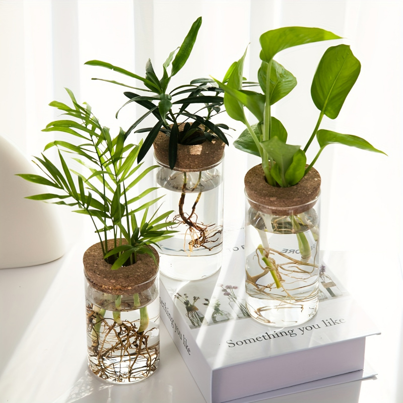 1pc, Hydroponics Plants Deskto – Propagation Station Vase Bewertung und Preis