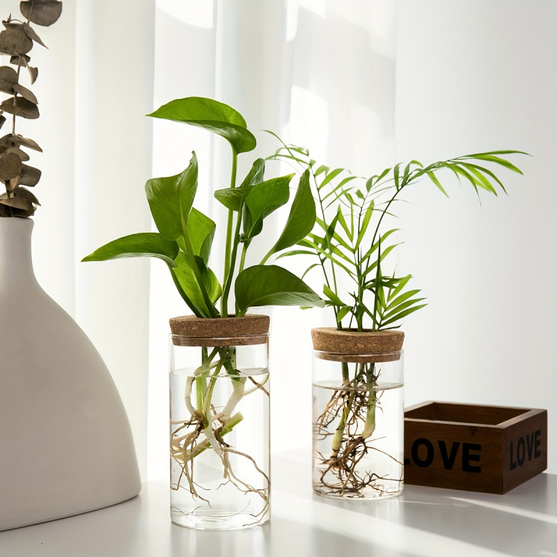 1pc, Hydroponics Plants Deskto – Propagation Station Vase Bewertung und Preis