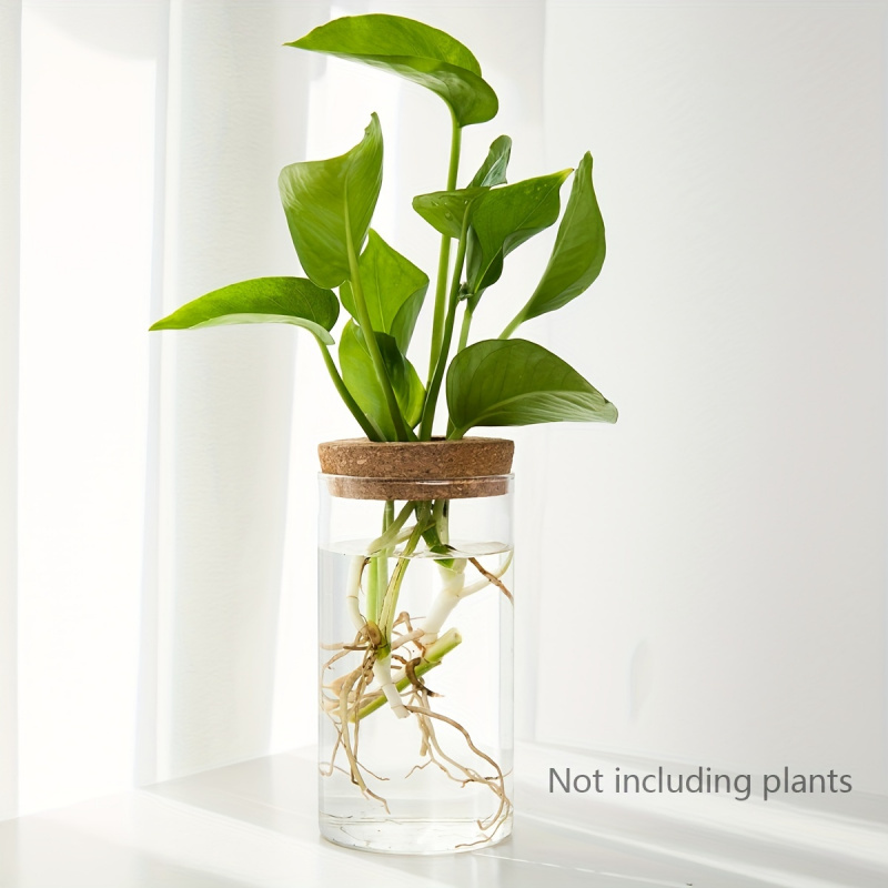 1pc, Hydroponics Plants Deskto – Propagation Station Vase Bewertung und Preis