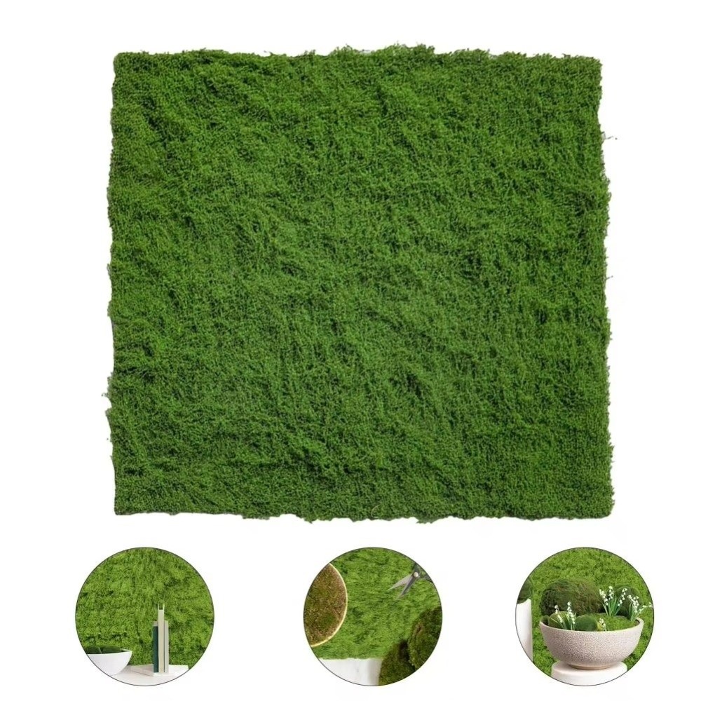 DIY Artificial Grass Rug Lifel – Sphagnum Moss Dry Bewertung und Preis