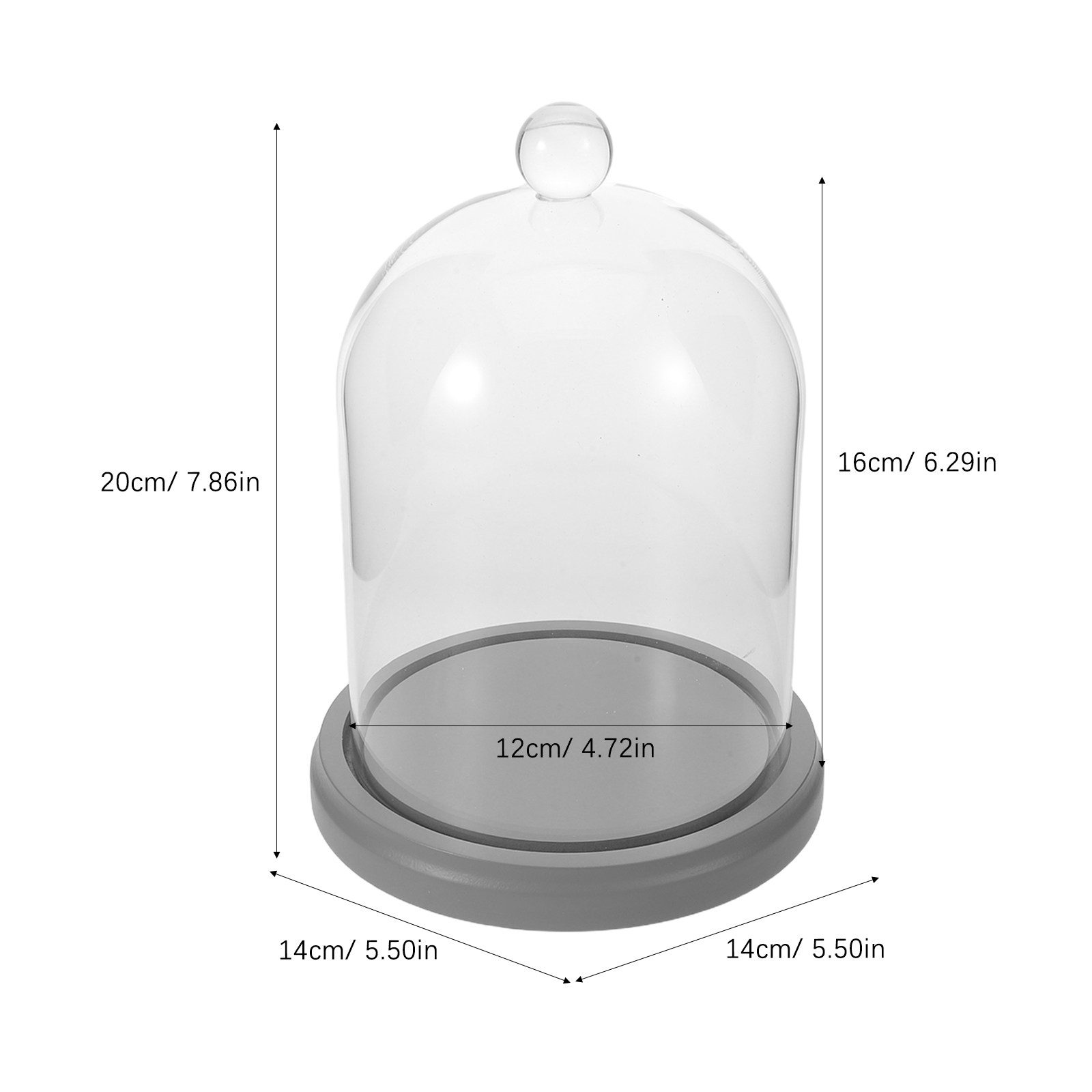 Glass Dome Cloche Clear Bell J – Plastic Dome Clear Bewertung und Preis