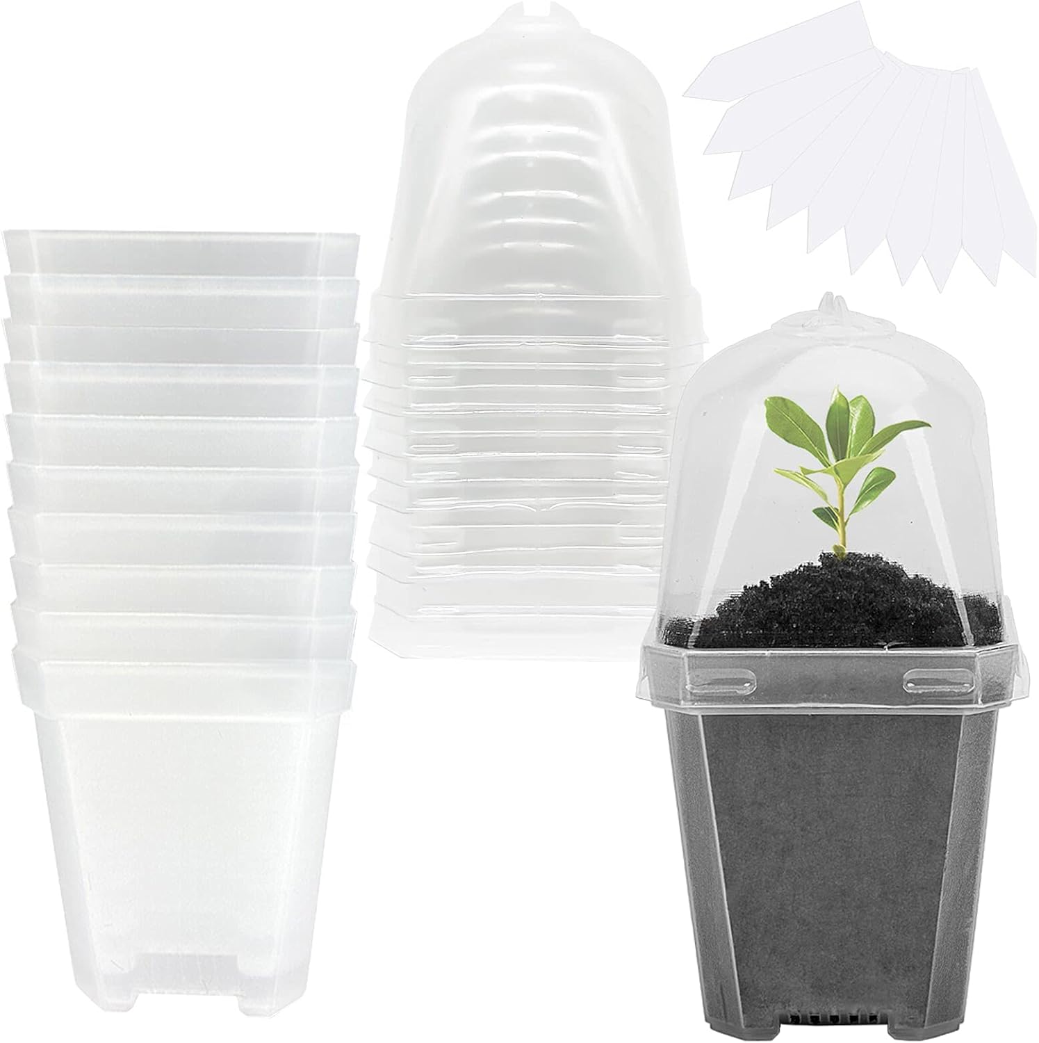 10 PCS Clear Plant Nursery Pot – Plastic Dome Clear Bewertung und Preis