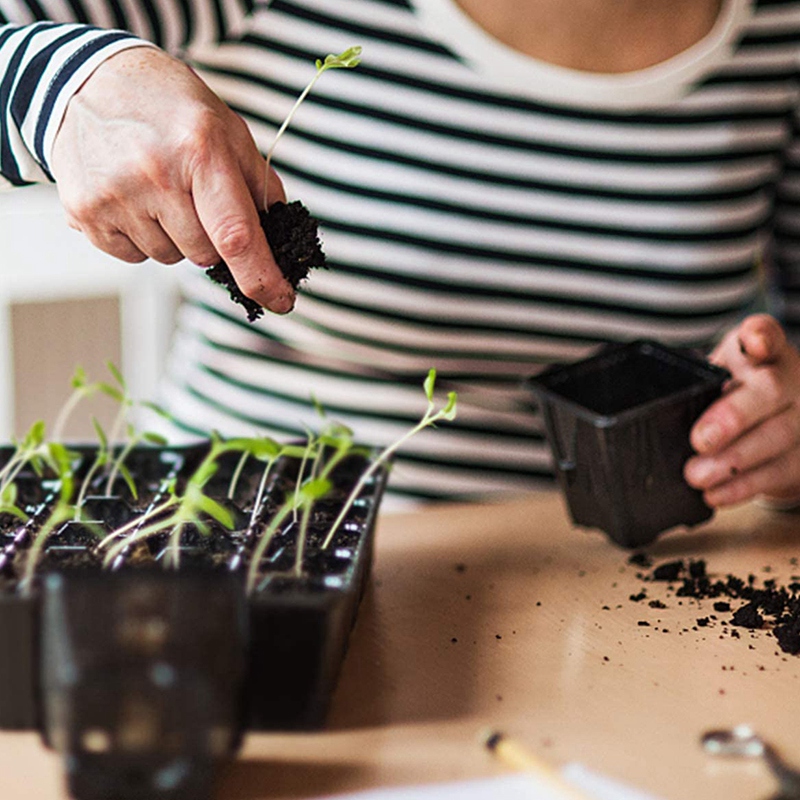 B84B-10 Pack Seed Starter Tray – Propagation Tray 72 Bewertung und Preis