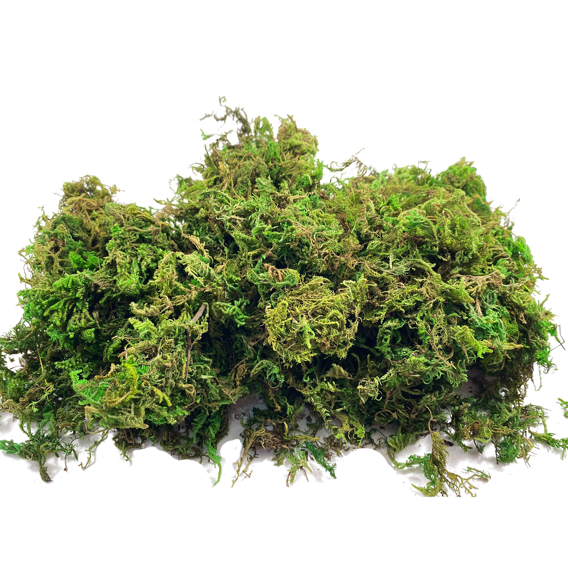 Artificial Fake Moss, Craft Mo – Sphagnum Moss Dry Bewertung und Preis