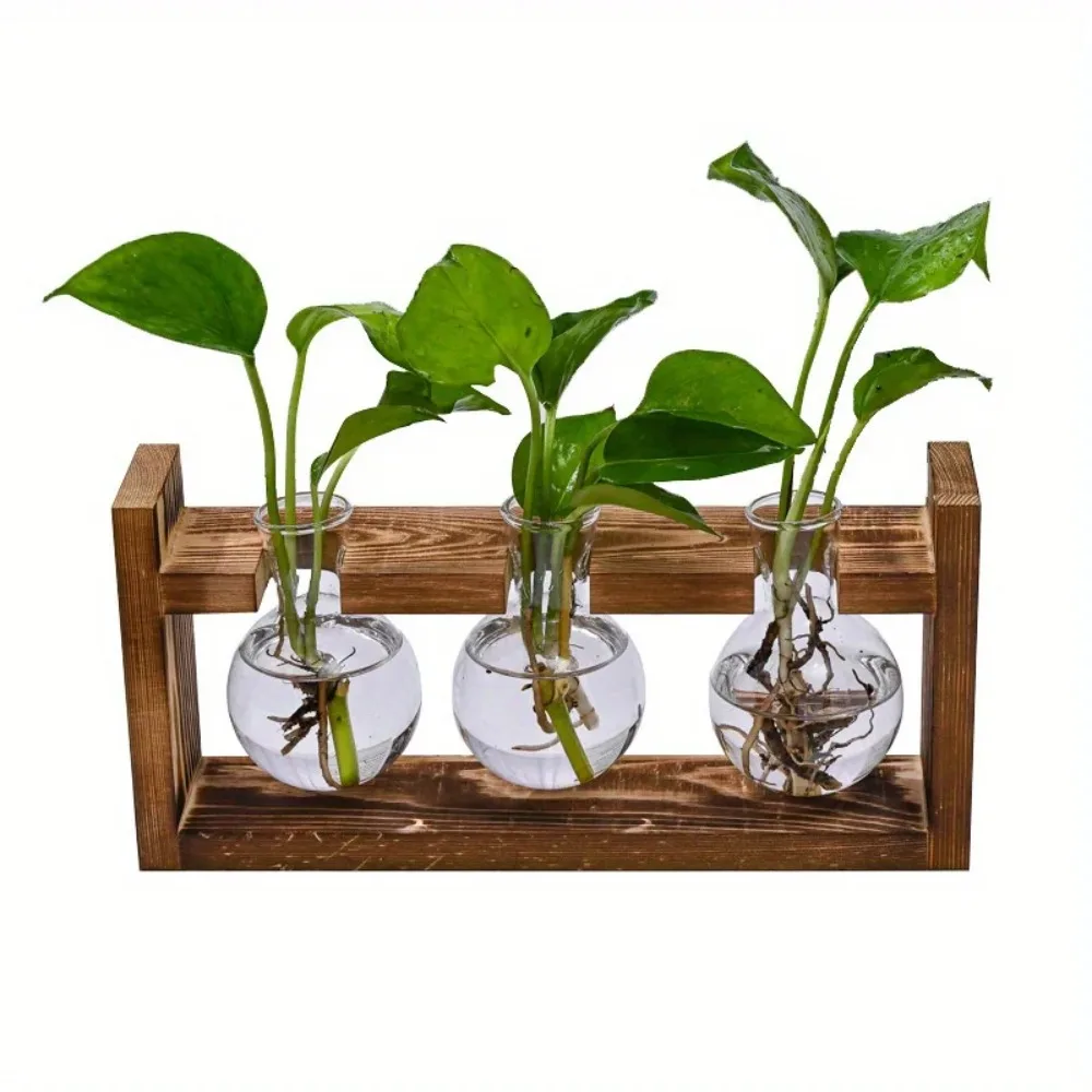 Tabletop Glass Planter Propaga – Propagation Station Vase Bewertung und Preis