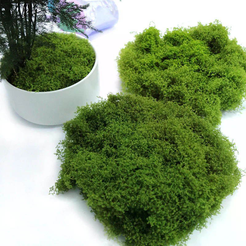 50g Fake Moss DIY Crafts Grass – Sphagnum Moss Dry Bewertung und Preis
