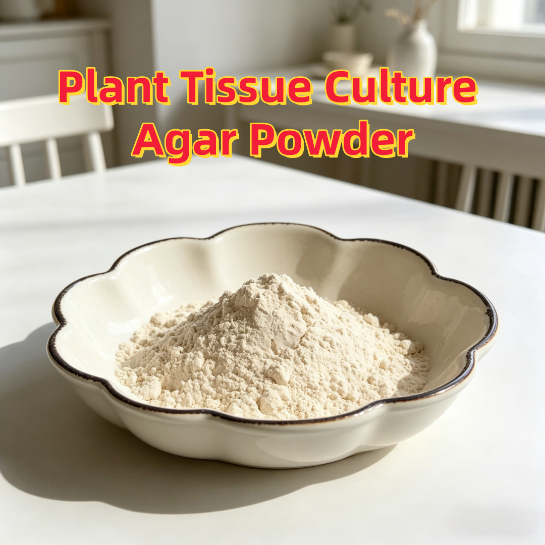 High Gel Strength Plant Tissue – Agar Tissue Culture Bewertung und Preis