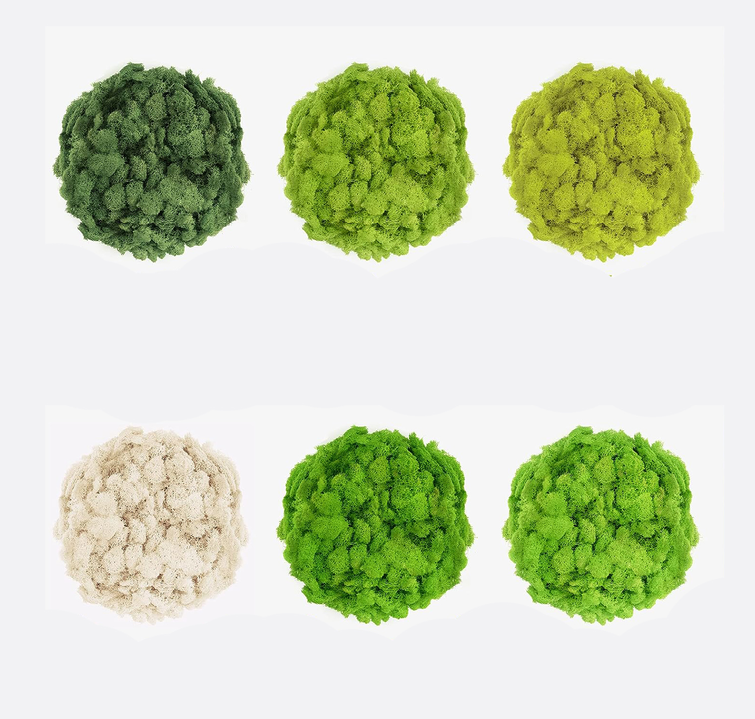 20/40/60g Eternal Life Moss Ar – Sphagnum Moss Dry Bewertung und Preis