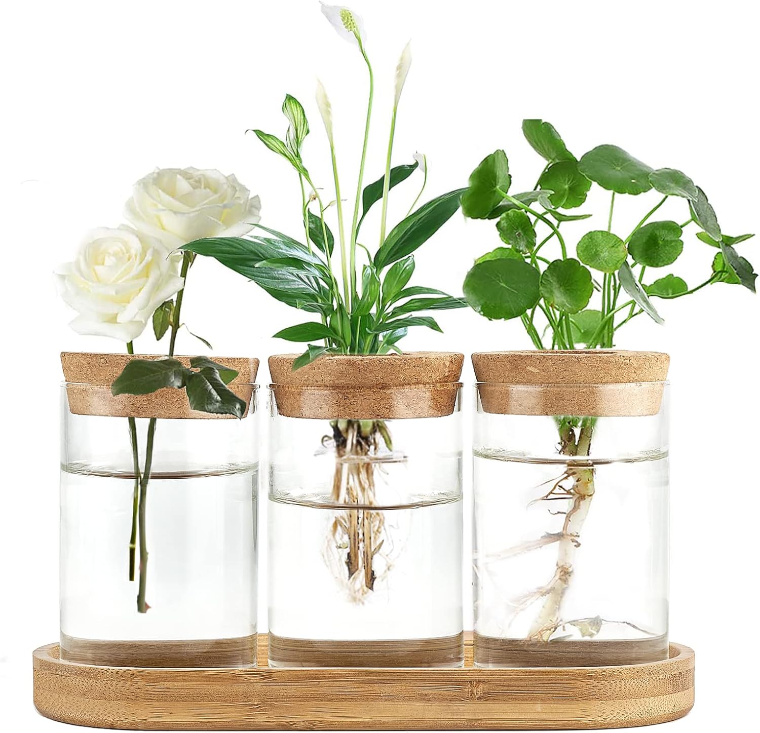 3 Pcs Glass Plant Propagation  – Propagation Station Vase Bewertung und Preis