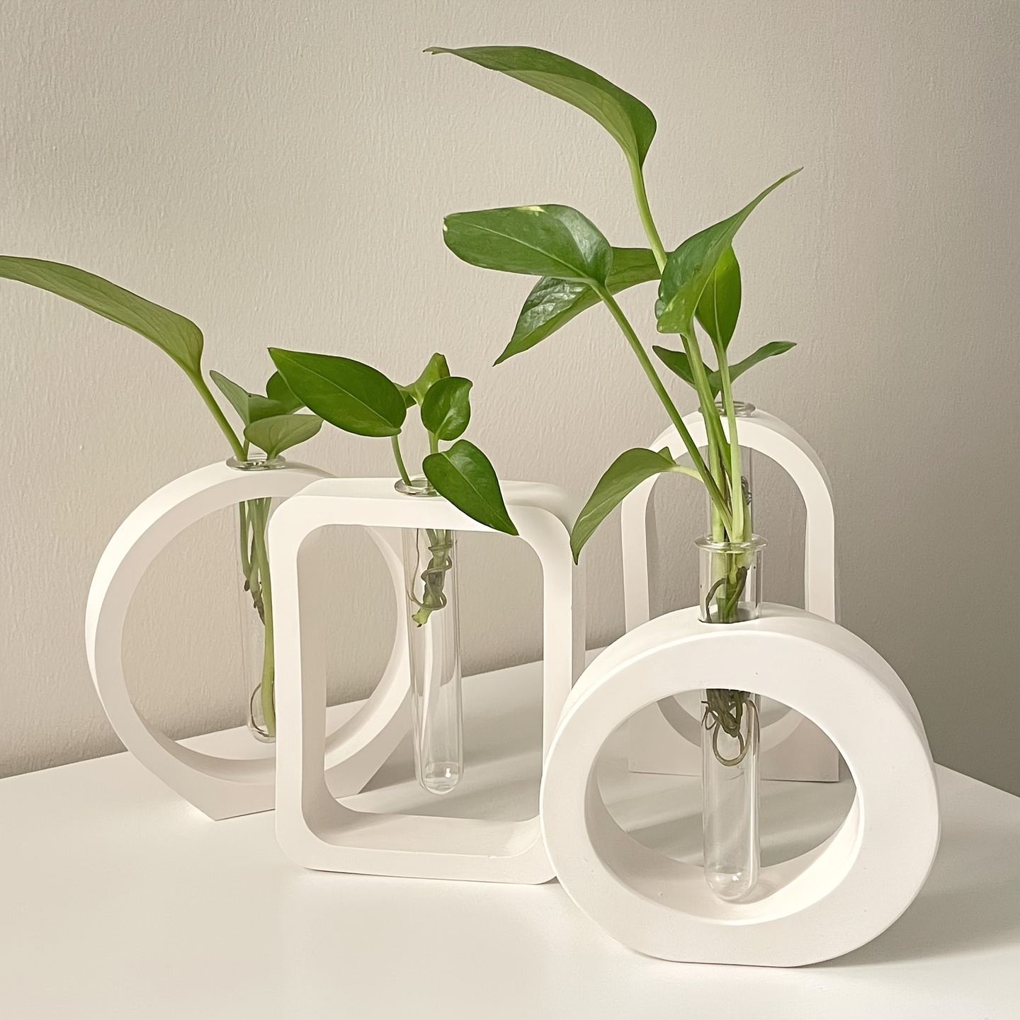 4PCS Flower Vase Silicone Mold – Propagation Station Vase Bewertung und Preis