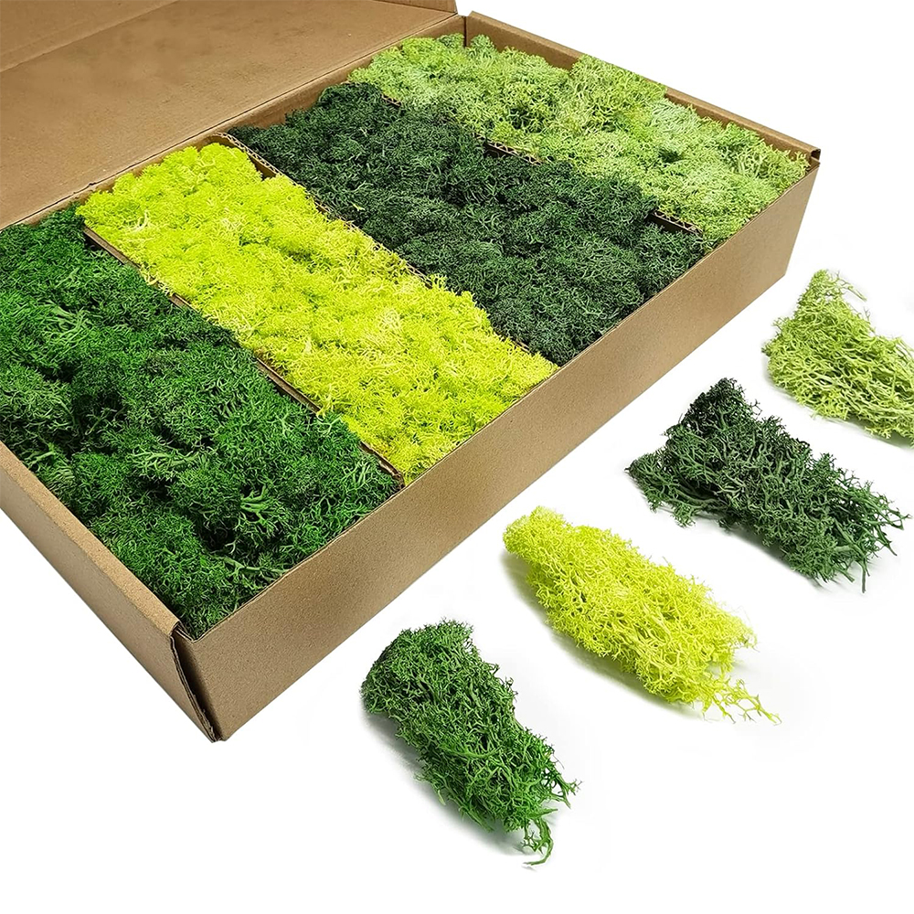 Artificial Green Plants Eterna – Sphagnum Moss Dry Bewertung und Preis