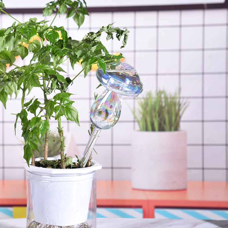 1/2PCS Glass Straw Automatic P – Self Watering Insert Bewertung und Preis