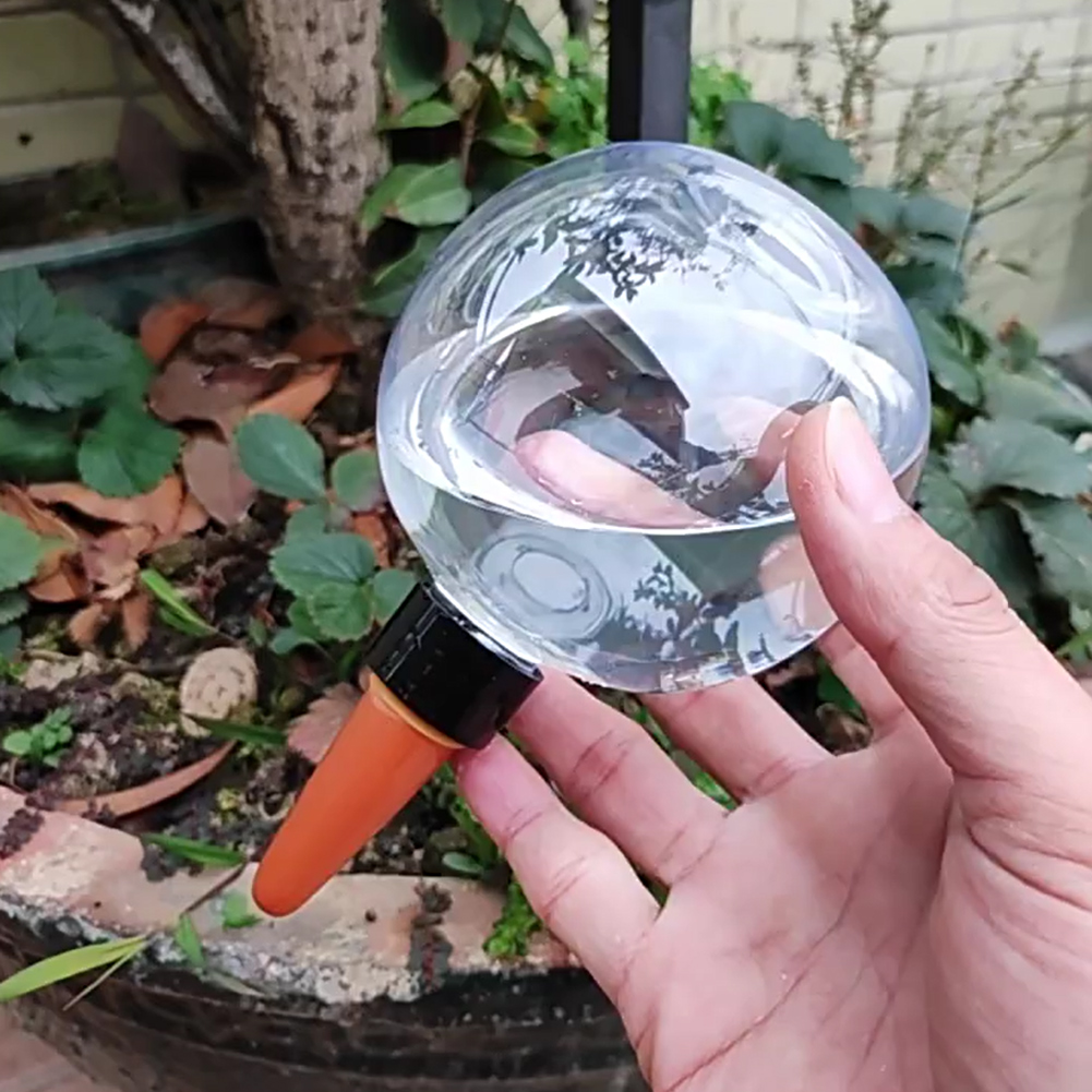 500ML Self Watering Globes Dri – Self Watering Insert Bewertung und Preis