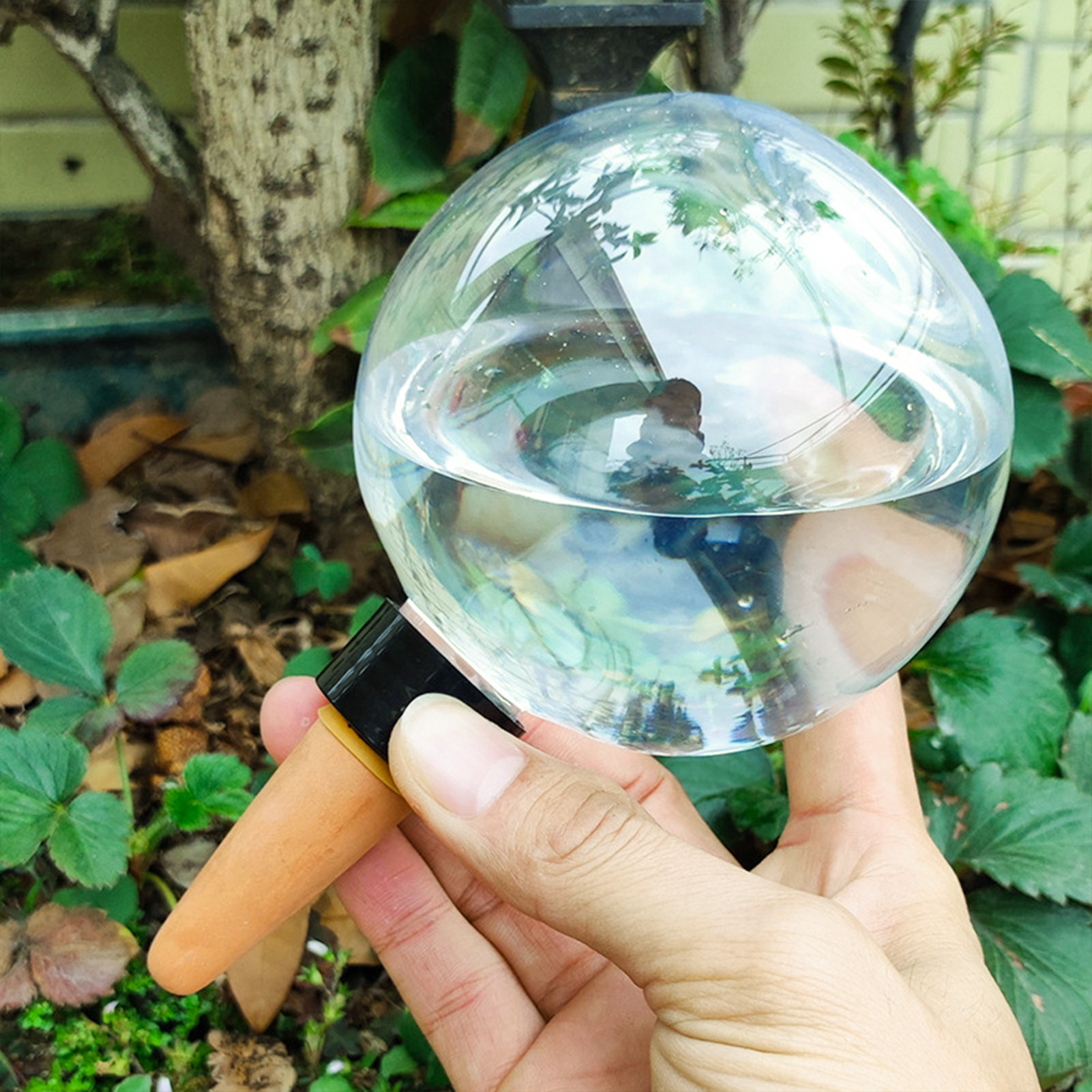 500ML Automatic Plant Watering – Self Watering Insert Bewertung und Preis