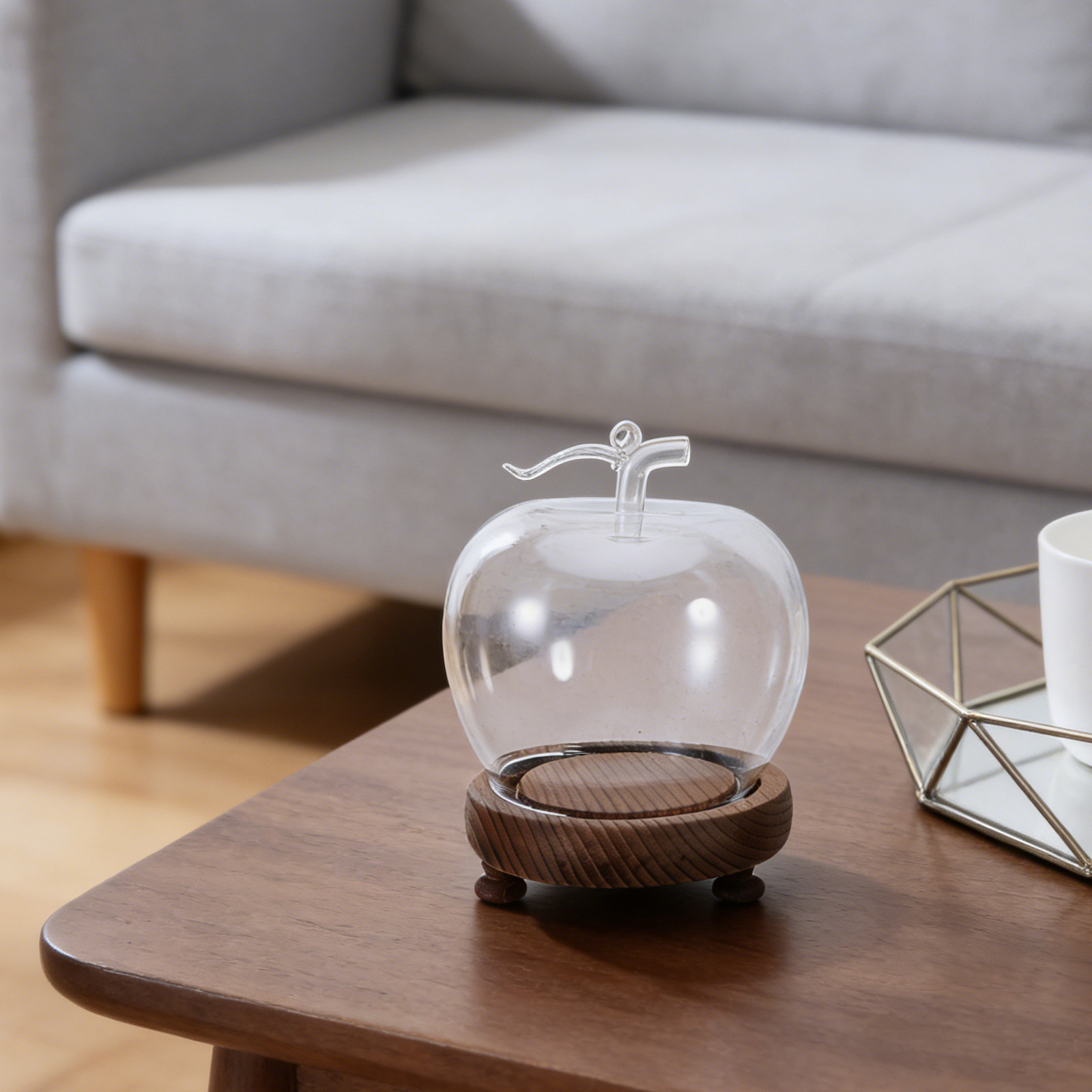 Clear Glass Dome Display with  – Plastic Dome Clear Bewertung und Preis