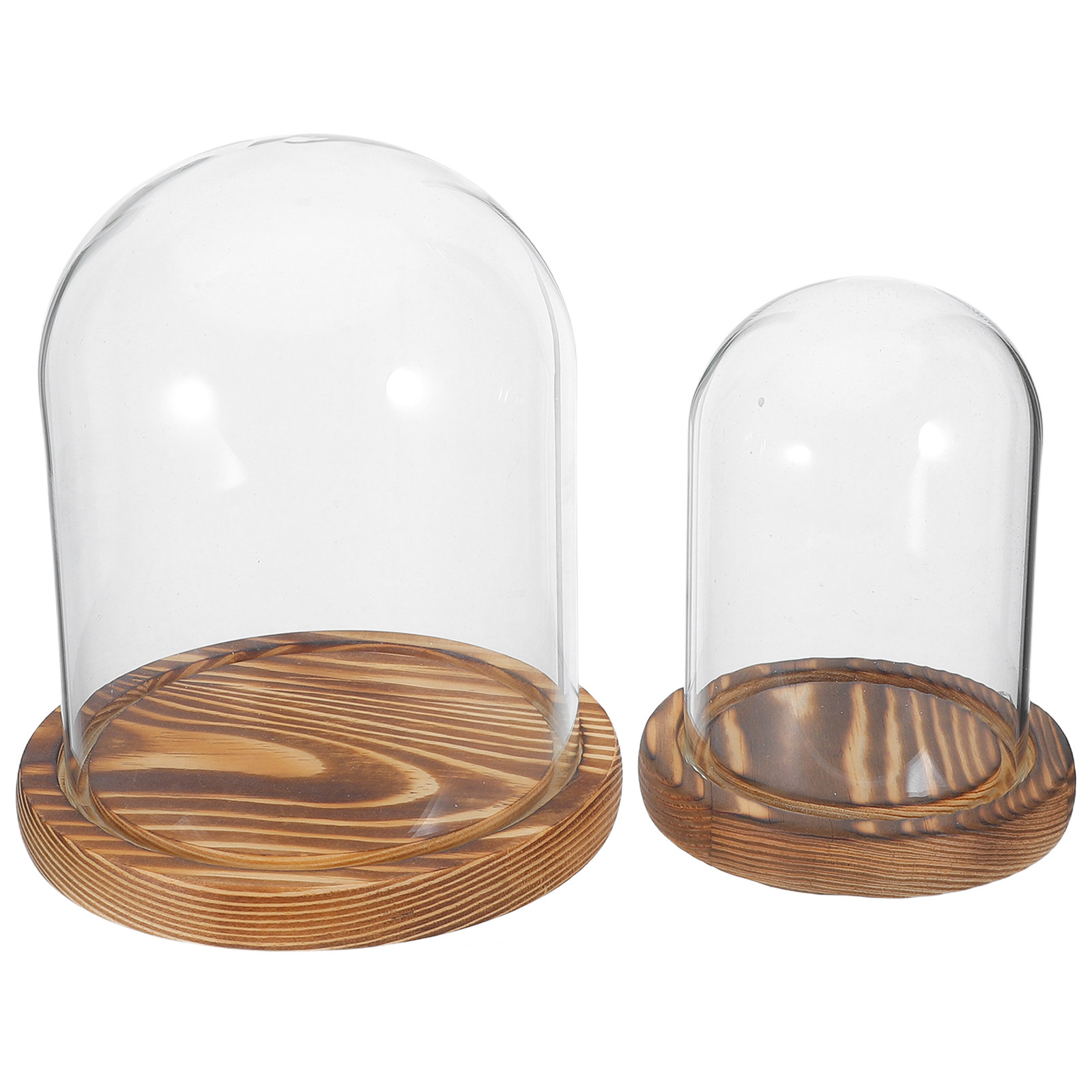 2Sets Clear Glass Display Dome – Plastic Dome Clear Bewertung und Preis