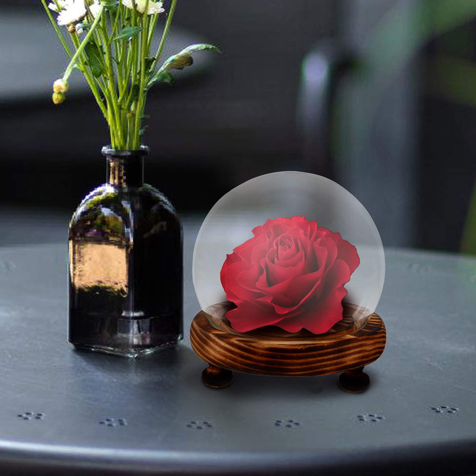 Glass Dome Display Case with W – Plastic Dome Clear Bewertung und Preis