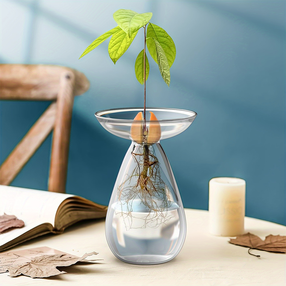 Avocado Seed Starter Hydroponi – Propagation Station Vase Bewertung und Preis