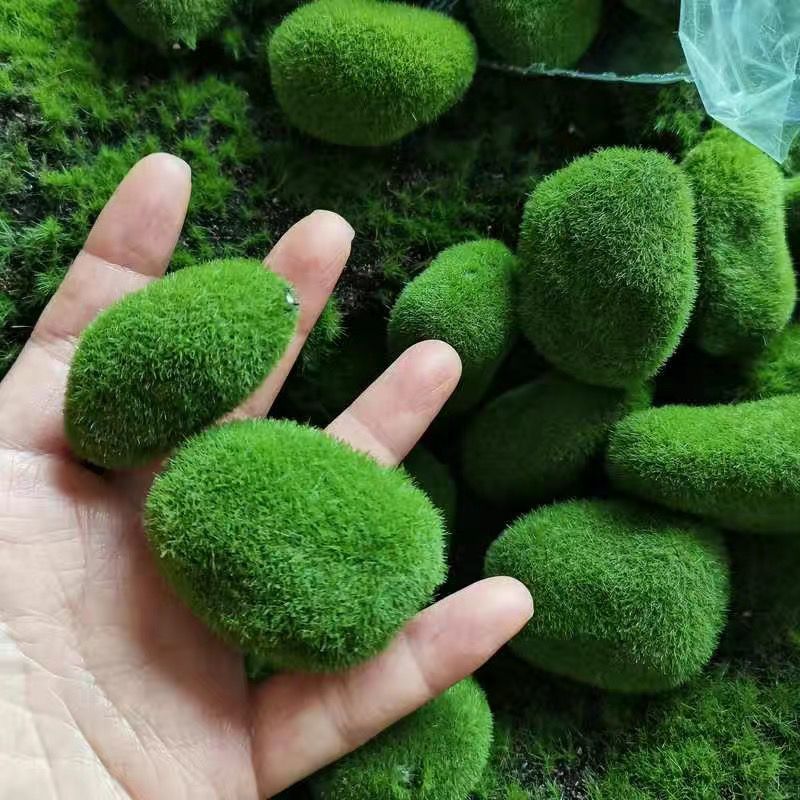Artificial Green Moss Stones f – Sphagnum Moss Dry Bewertung und Preis
