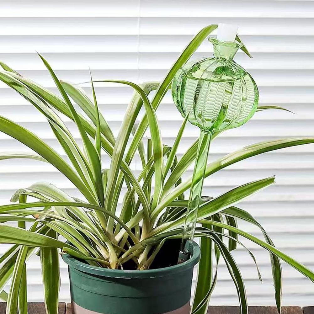 24cm Cactus Self Watering Bulb – Self Watering Insert Bewertung und Preis