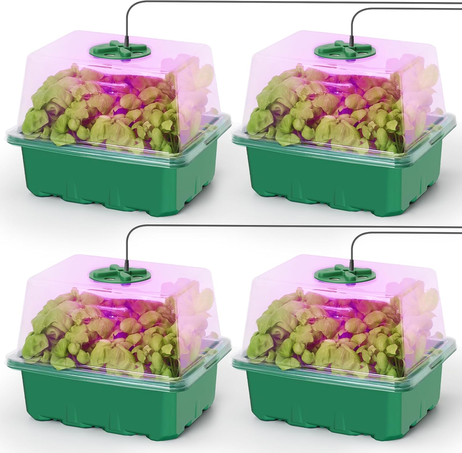Seed Starter Kit with Grow Lig – Humidity Dome Kit Bewertung und Preis
