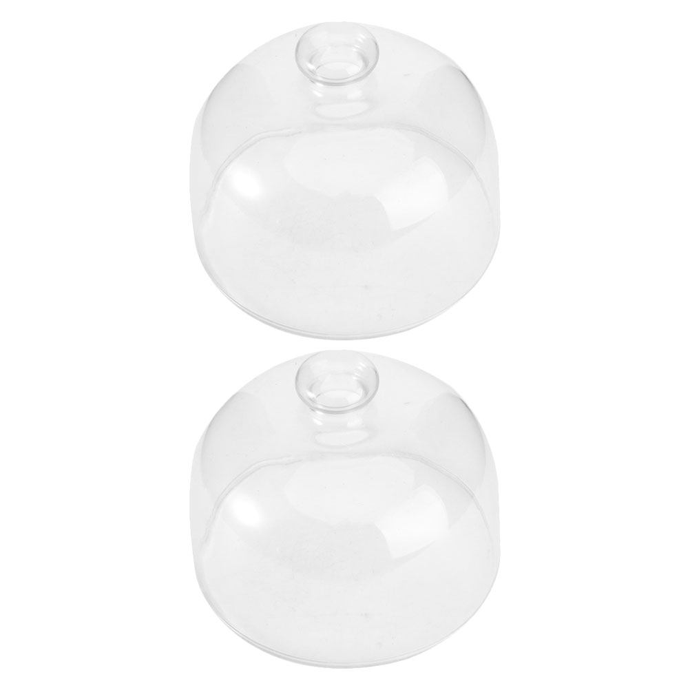 2Pcs Transparent Glass Cake Do – Plastic Dome Clear Bewertung und Preis
