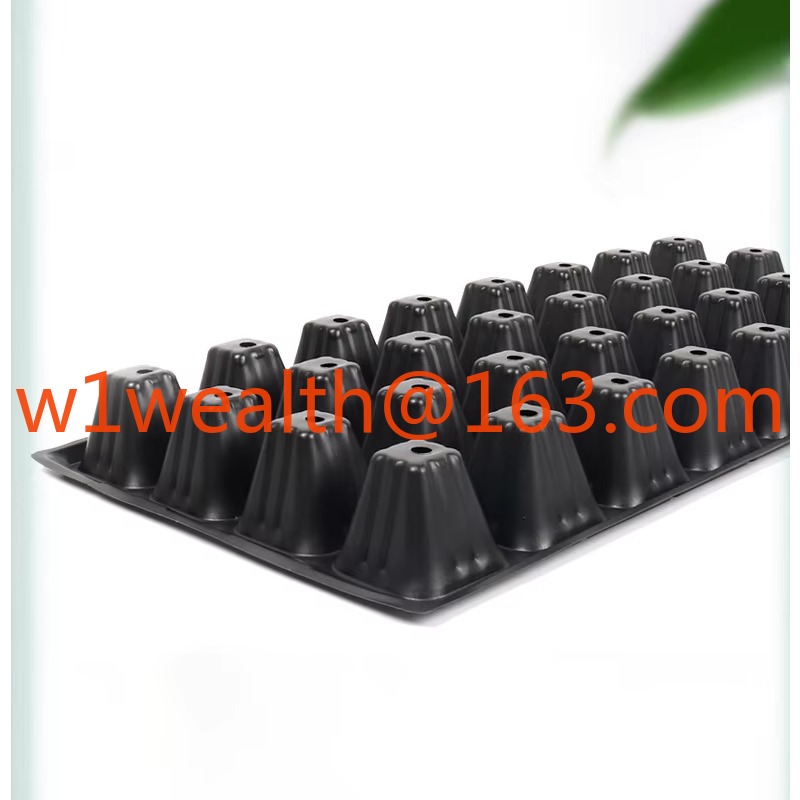 DD3198   72 Cell 100G Garden G – Propagation Tray 72 Bewertung und Preis