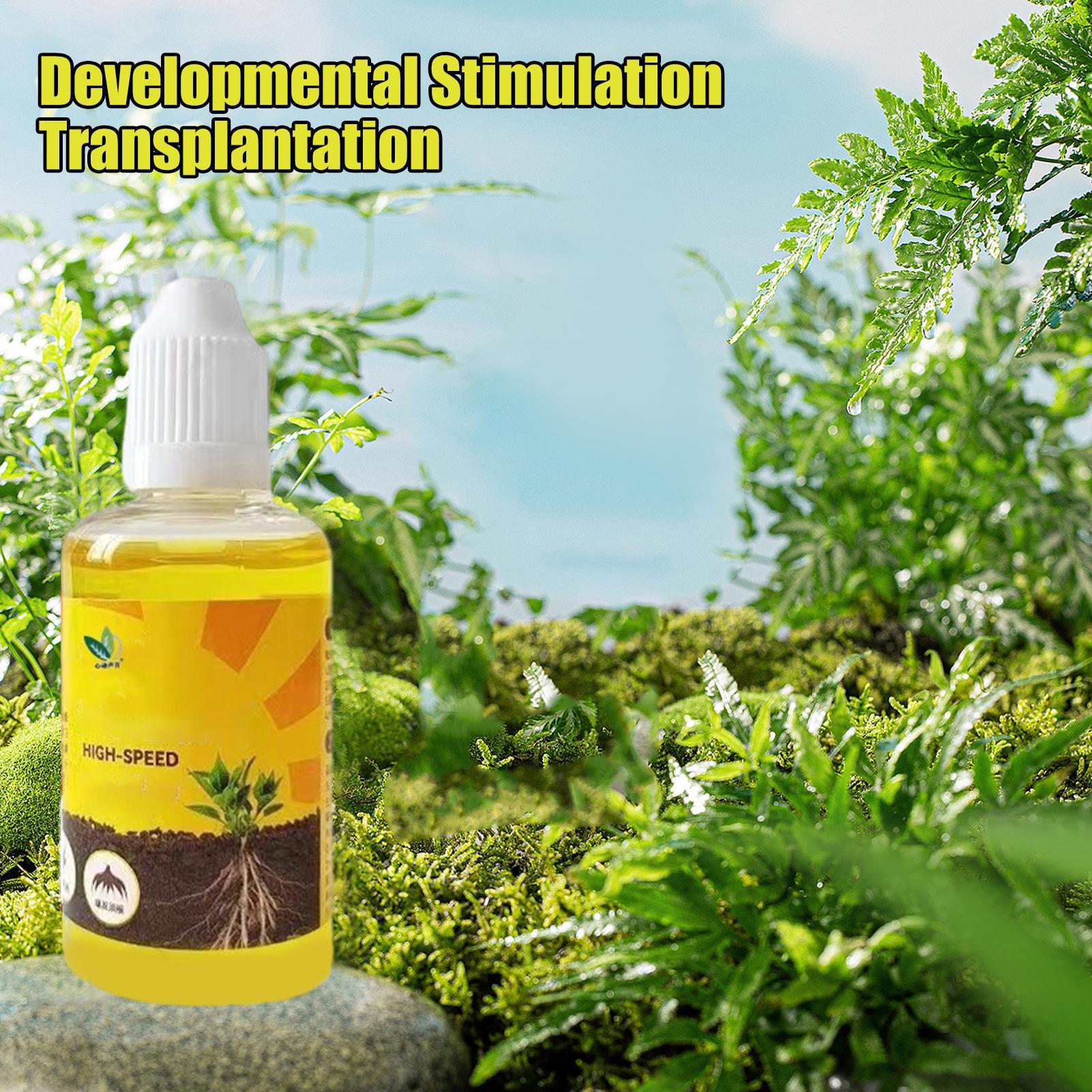 Plant Resurrection Liquid 50ml – Root Stimulator Liquid Bewertung und Preis