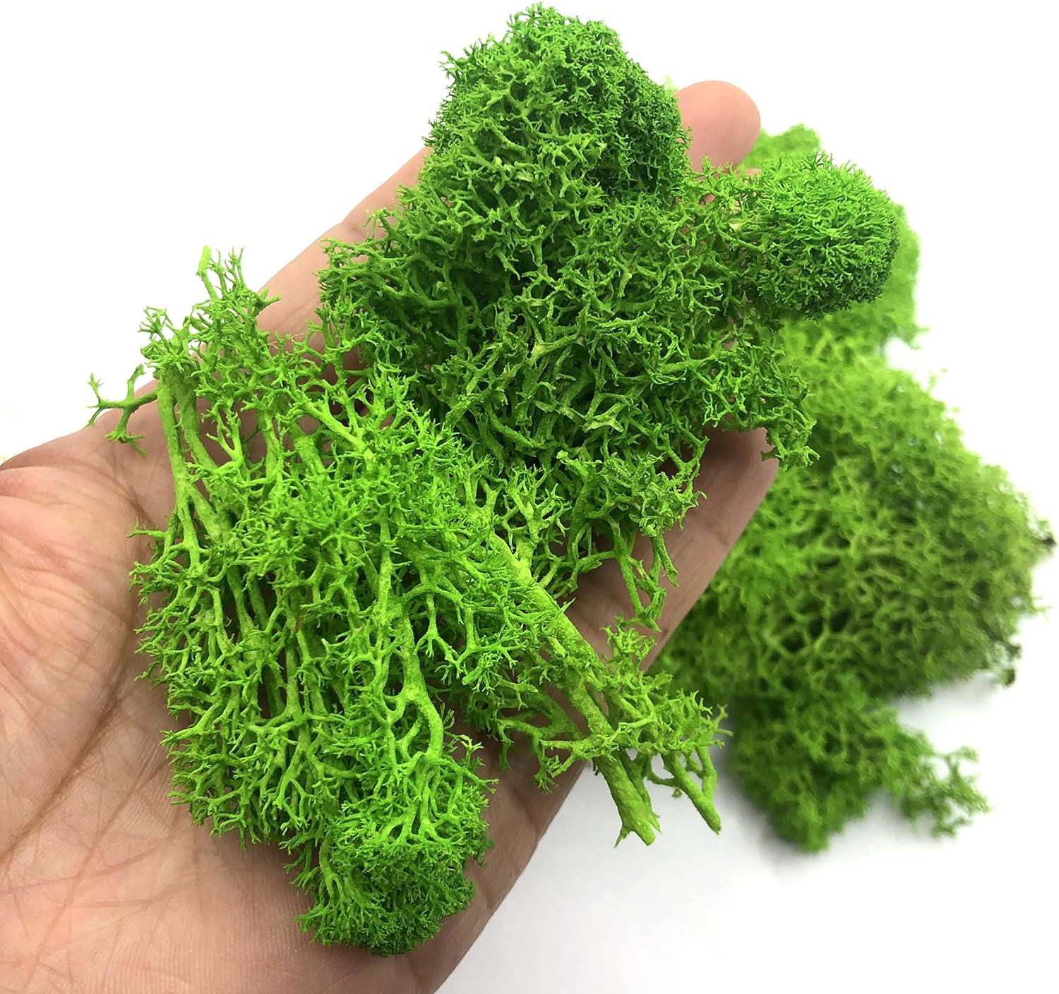 200g Artificial Green Plants M – Sphagnum Moss Dry Bewertung und Preis