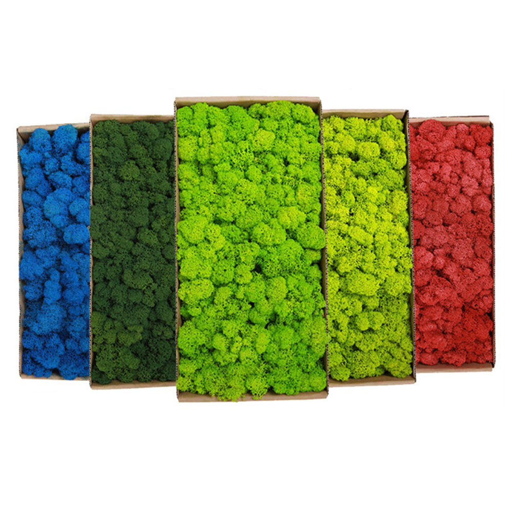 200g Artificial Green Plants M – Sphagnum Moss Dry Bewertung und Preis