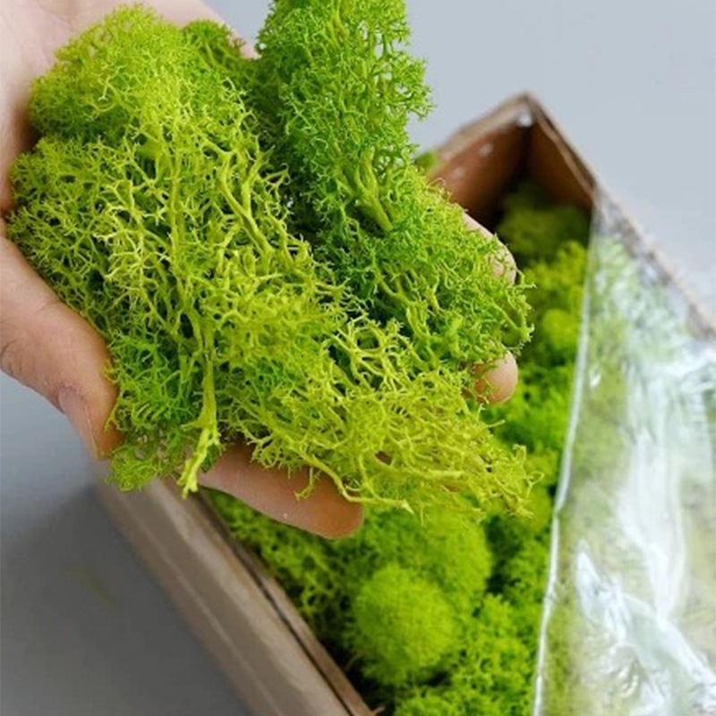 200g Artificial Green Plants M – Sphagnum Moss Dry Bewertung und Preis