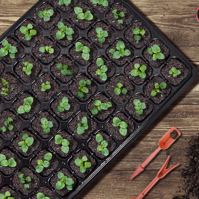 ABGH-10 Pack Seed Starter Tray – Propagation Tray 72 Bewertung und Preis