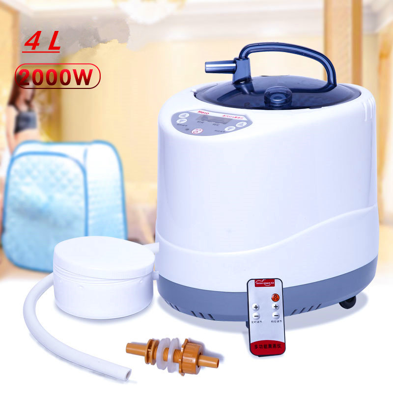 Steam Generator 220V/110V  EU  – Self Watering Insert Bewertung und Preis