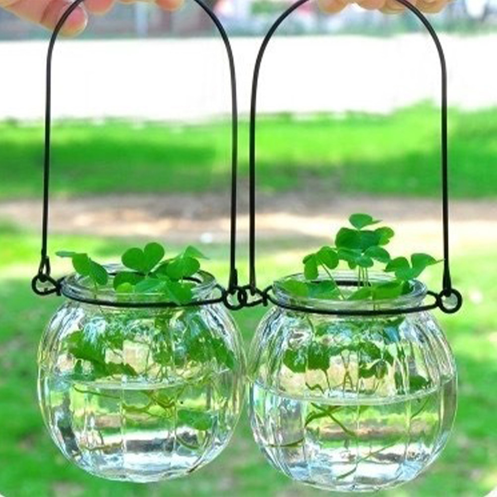 6Pcs Transparent Hanging Glass – Propagation Station Vase Bewertung und Preis