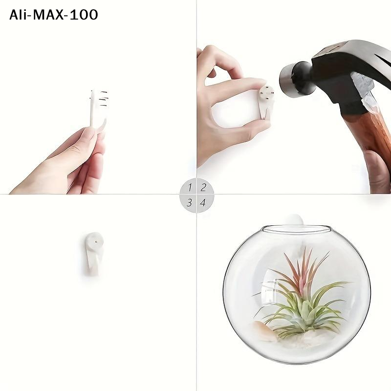 【MA3】Wall Hanging Glass Plant  – Propagation Station Vase Bewertung und Preis