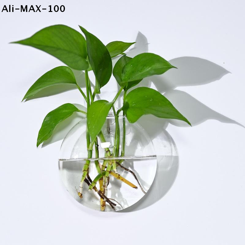 【MA3】Wall Hanging Glass Plant  – Propagation Station Vase Bewertung und Preis
