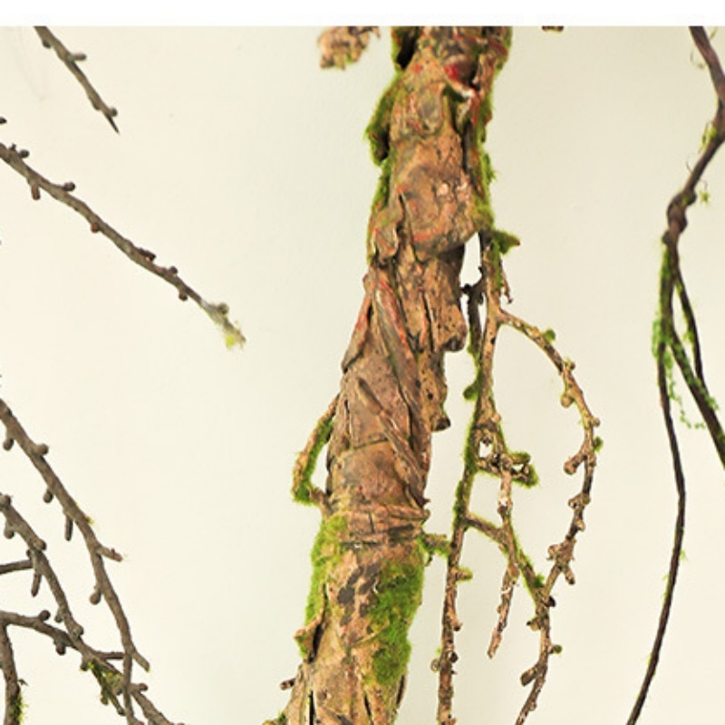 New Withered Vines Artificial  – Sphagnum Moss Dry Bewertung und Preis