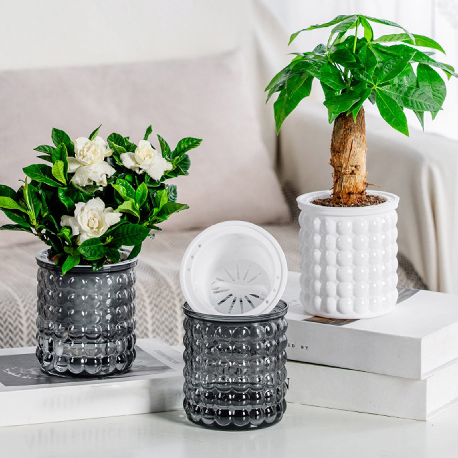 Self Watering Flowerpot Hydrop – Self Watering Insert Bewertung und Preis