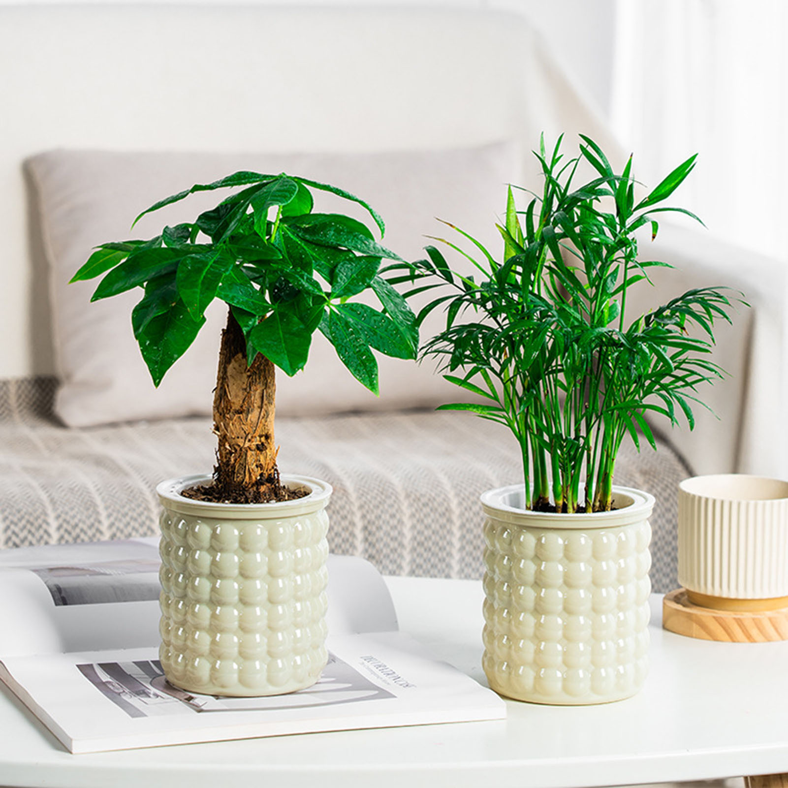 Self Watering Flowerpot Hydrop – Self Watering Insert Bewertung und Preis