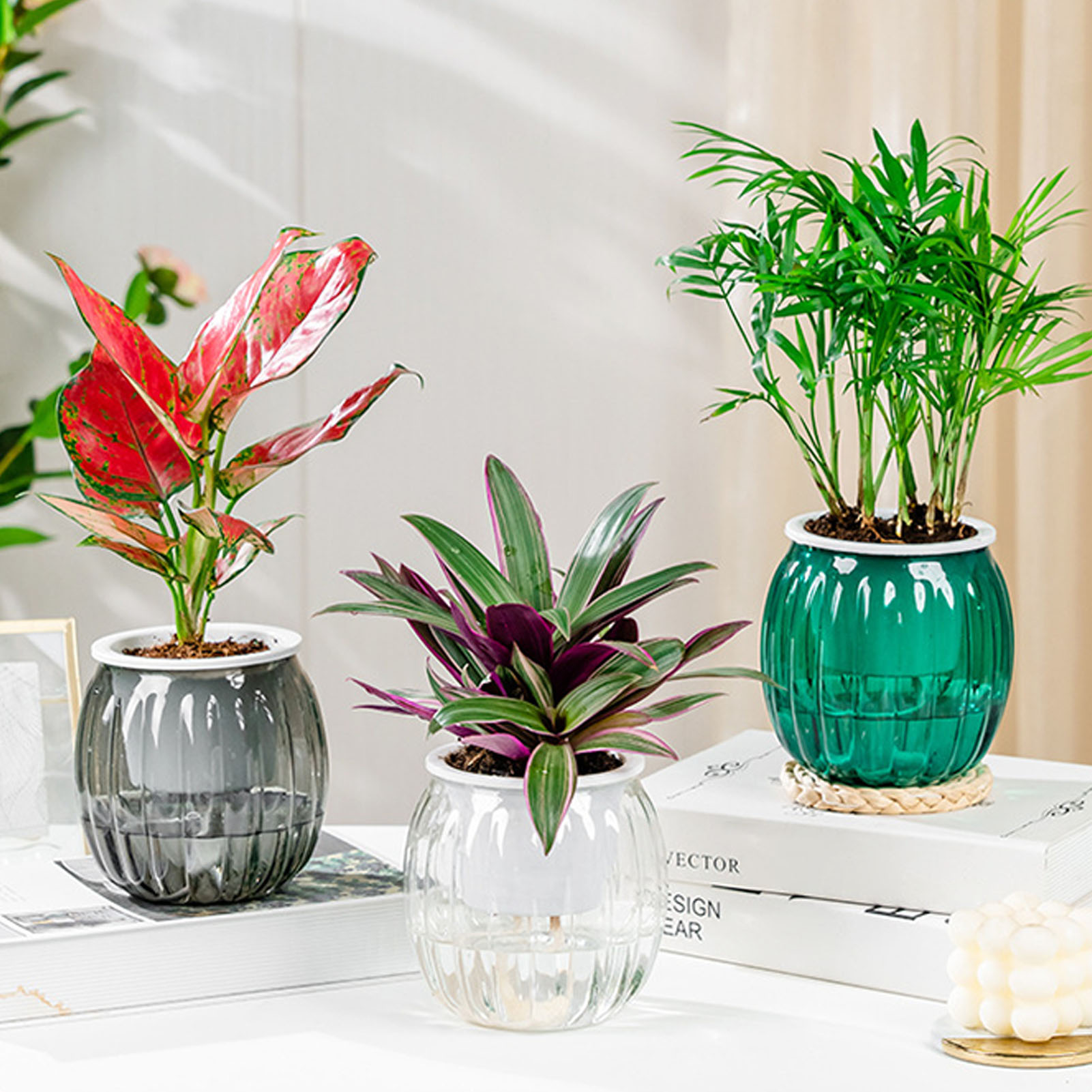 Self Watering Flowerpot Hydrop – Self Watering Insert Bewertung und Preis